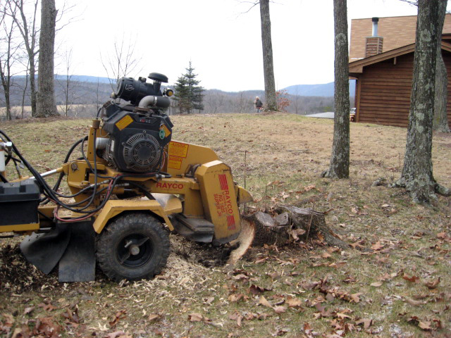 Removing stumps with subsoiler, 22066 Great Falls VA